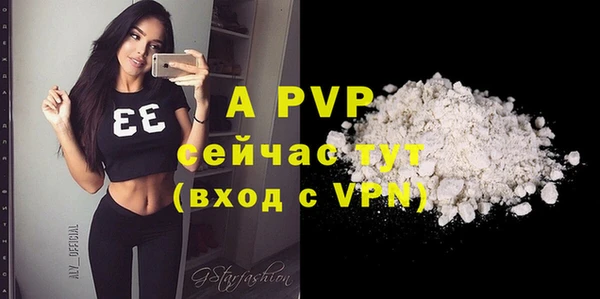ECSTASY Вяземский