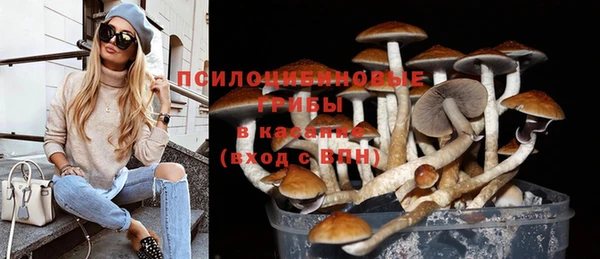 ECSTASY Вяземский